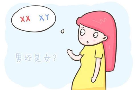 生男生女 機率|生男生女的概率真的一样吗？